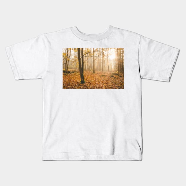 Foggy morning autumn forest Kids T-Shirt by Juhku